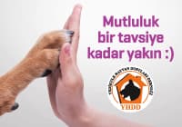 Tavsiyelerinizle büyüyoruz :)